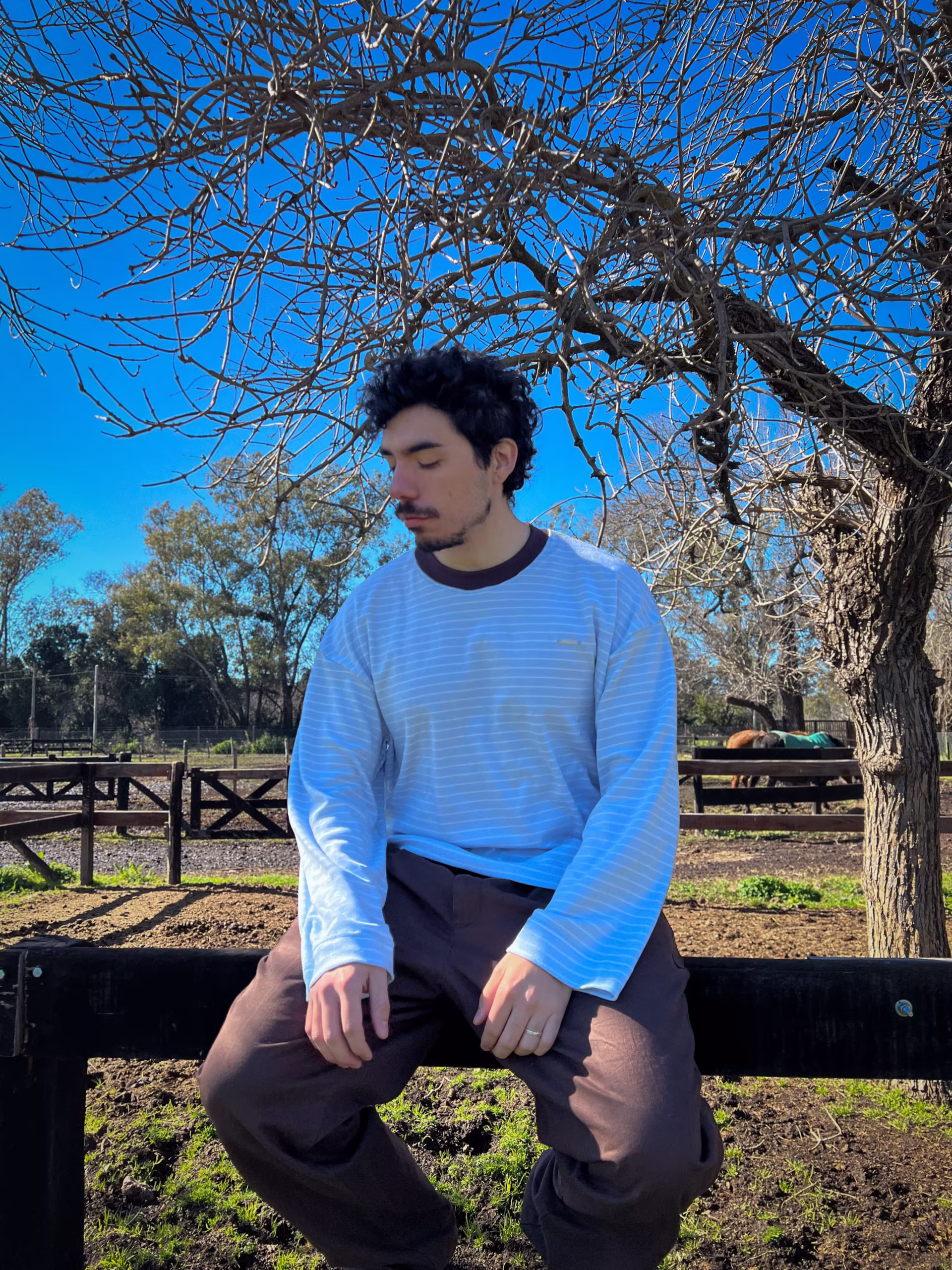 remera manga larga oversize a rayas celeste