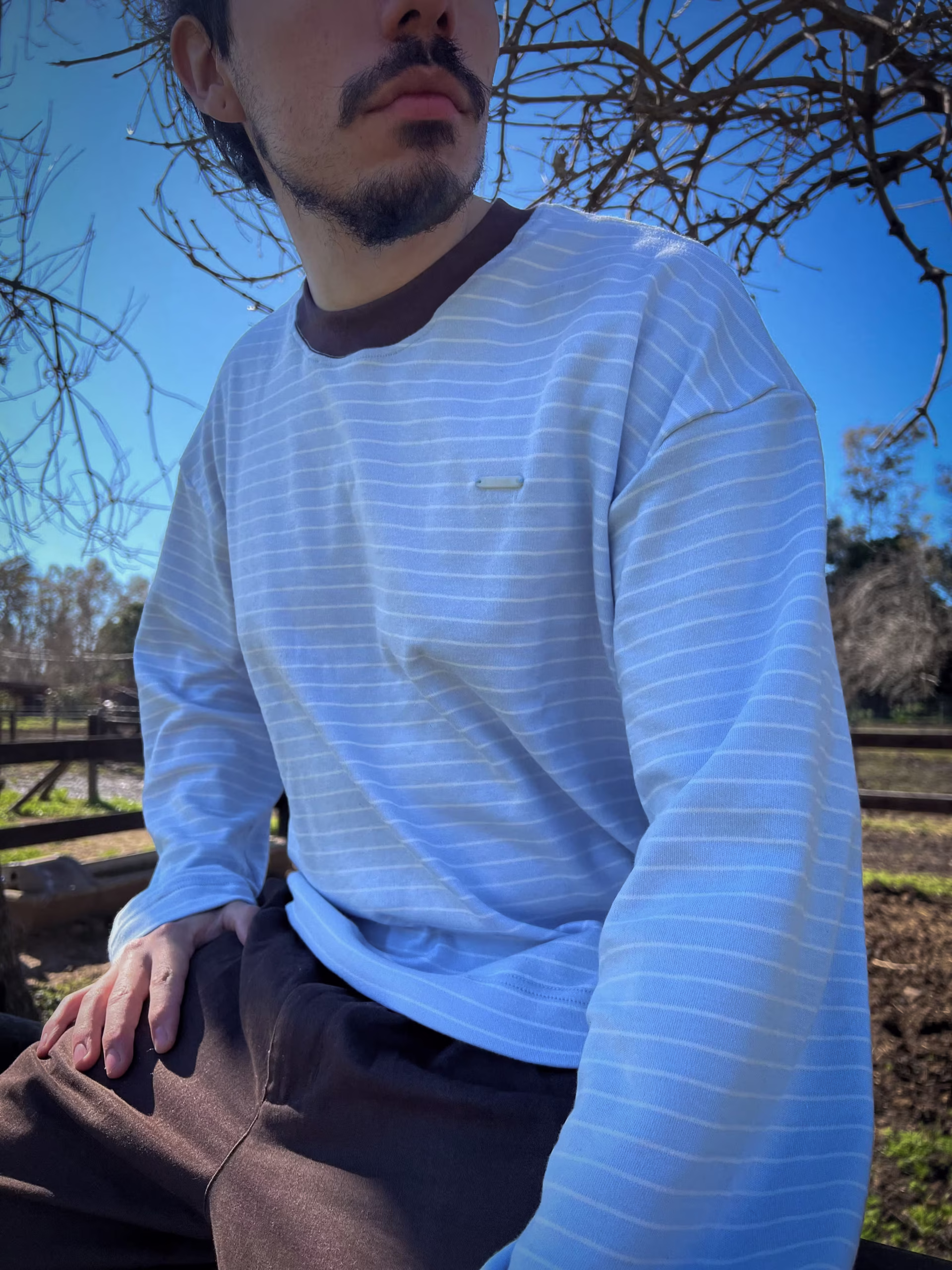 remera manga larga oversize a rayas celeste